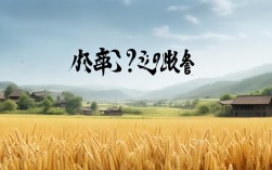 榆林小米好吗，榆林的小米好不好