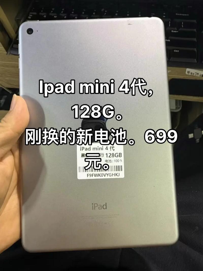 ipad mini可以换电池吗