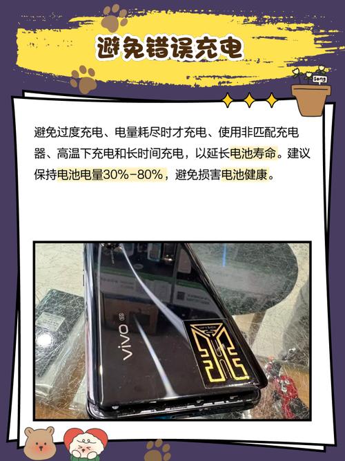 vivox9plus是什么电池