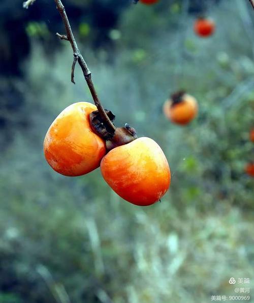 江西废铁今天价柿行惰