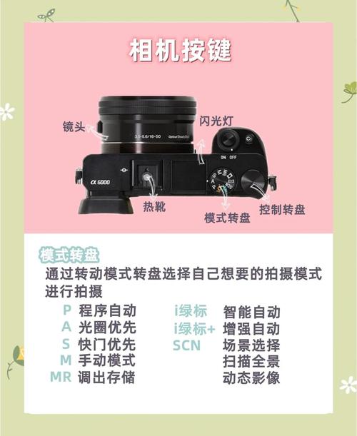 索尼a6000电池能用多久