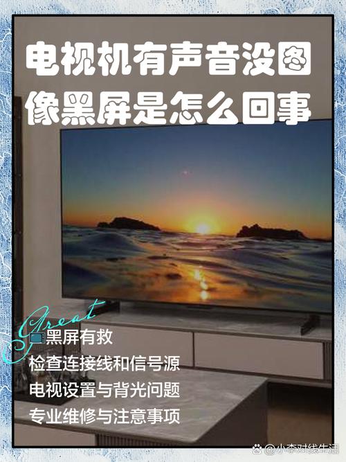 TCL液晶电视 时有声时无声故障