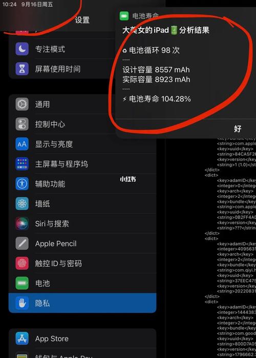 iphone6电池容量软件