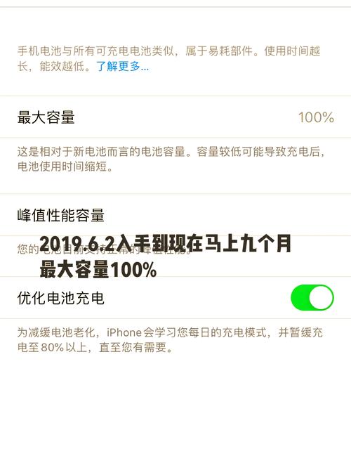怎么查iphone电池循环