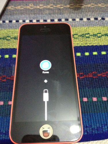 5c换电池后home键失灵