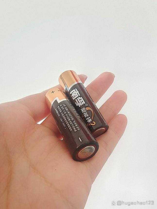 南孚聚能环电池可以充电吗