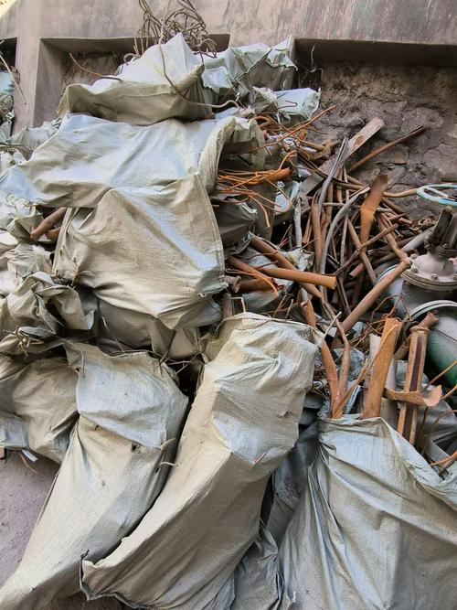 去新疆捡废铁好建吗