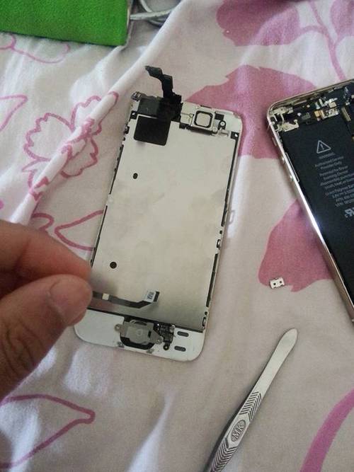 5s换电池后不能用指纹