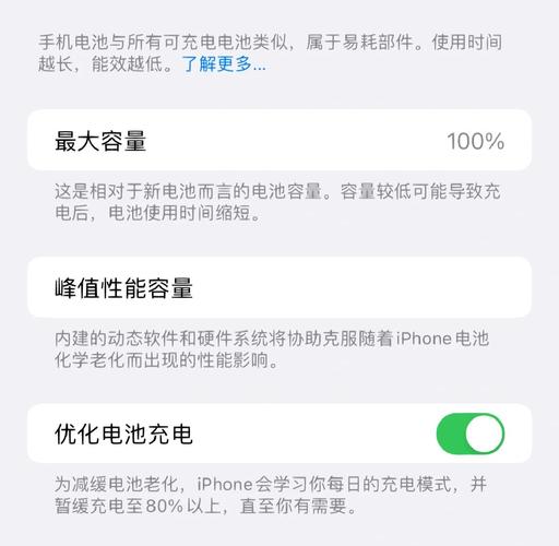 苹果手机电池容量怎么查