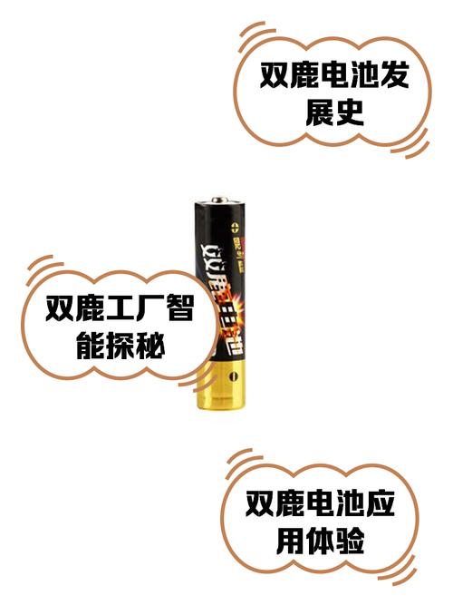 双鹿9v电池可以充电吗