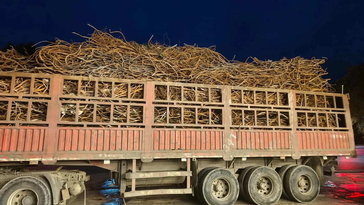 废铁拉到湛江什么厂