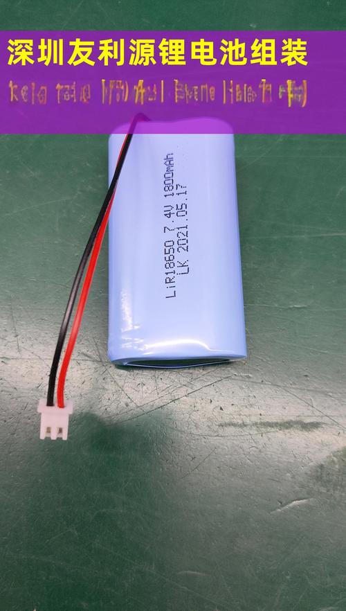 宝丽来2000电池在哪