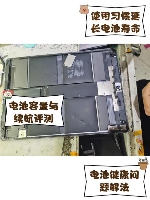 换ipad电池要多少钱