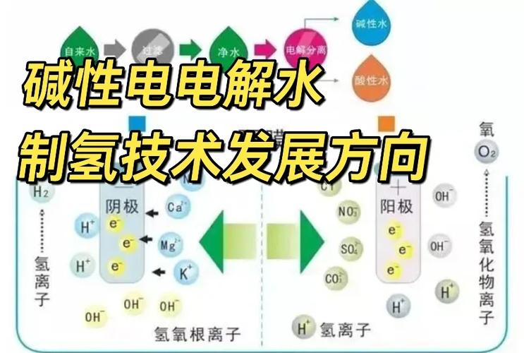 某种氢氧燃料电池的电解